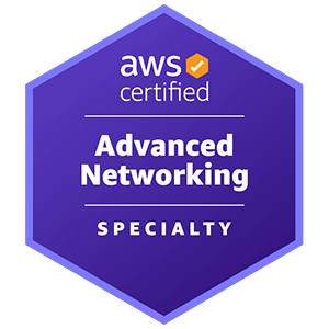 AWS Certified Advanced Networking - Specialty Practice Tests and Answers