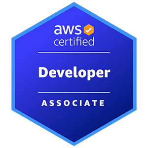 AWS Certified Developer - Associate Practice Tests and Answers