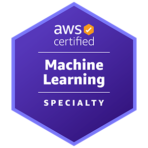 AWS Certified Machine Learning - Specialty  Practice Tests and Answers