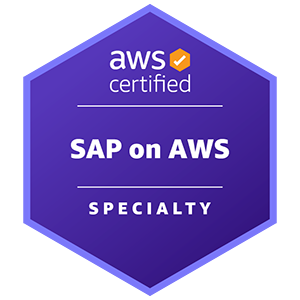 AWS Certified: SAP on AWS - Specialty Practice Tests and Answers