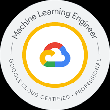 Google Professional Machine Learning Engineer Practice Tests and Answers